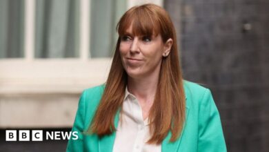 Angela Rayner: Labour's working-class warrior who fell from power