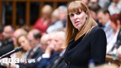 Angela Rayner - and the rest of us - now face waiting game