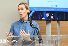 Ban social media for under 15s, says French report warning of TikTok dangers