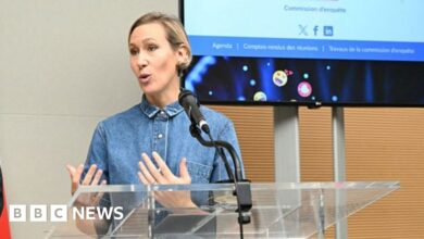 Ban social media for under 15s, says French report warning of TikTok dangers
