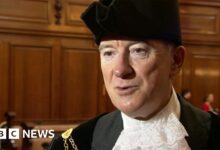 Calls for Mandelson to lose role as high steward of Hull