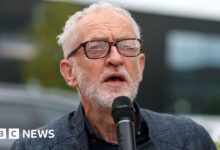 Corbyn allies disappointed at row with Sultana over Your Party