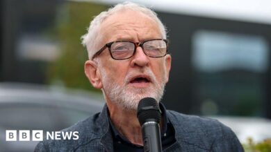 Corbyn allies disappointed at row with Sultana over Your Party