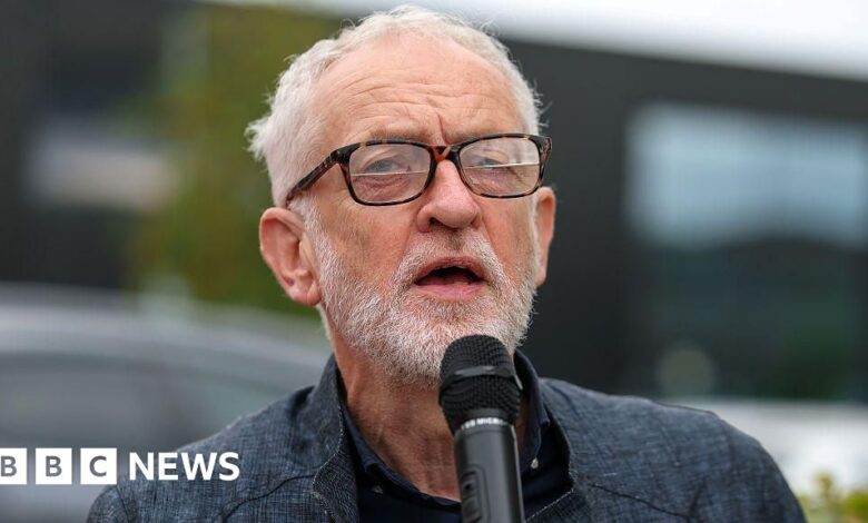 Corbyn allies disappointed at row with Sultana over Your Party