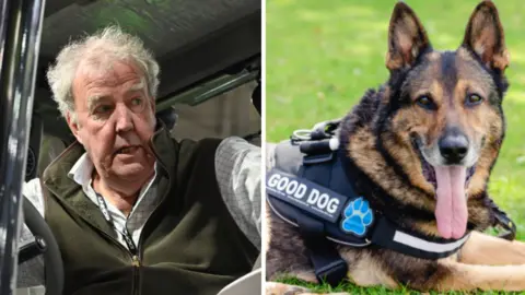 Getty Images/THE THIN BLUE PAW A composite split image of Jeremy Clarkson in a tractor on the left hand side, and a police dog lying on the grass with its tongue out on the right hand side.