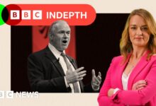 Ed Davey loves clowning around, but is it time the Lib Dems get serious?