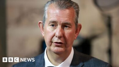Edwin Poots: I fear 'things could turn ugly' in Great Britain