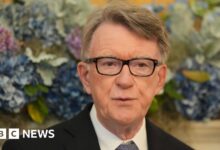 Epstein paid for Mandelson's travel in 2003, documents show