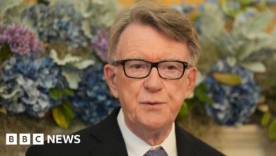 Epstein paid for Mandelson's travel in 2003, documents show
