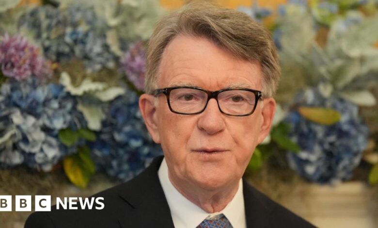 Epstein paid for Mandelson's travel in 2003, documents show