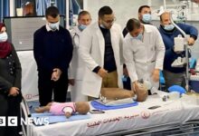 First students evacuated from Gaza to study in UK