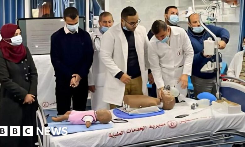 First students evacuated from Gaza to study in UK