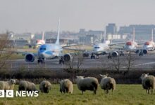 Gatwick airport second runway approved by transport secretary