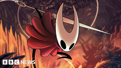 Hollow Knight: Silksong demand prompts Steam and game store crash