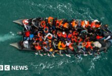 Home Office loses bid to overturn court order blocking migrant's removal