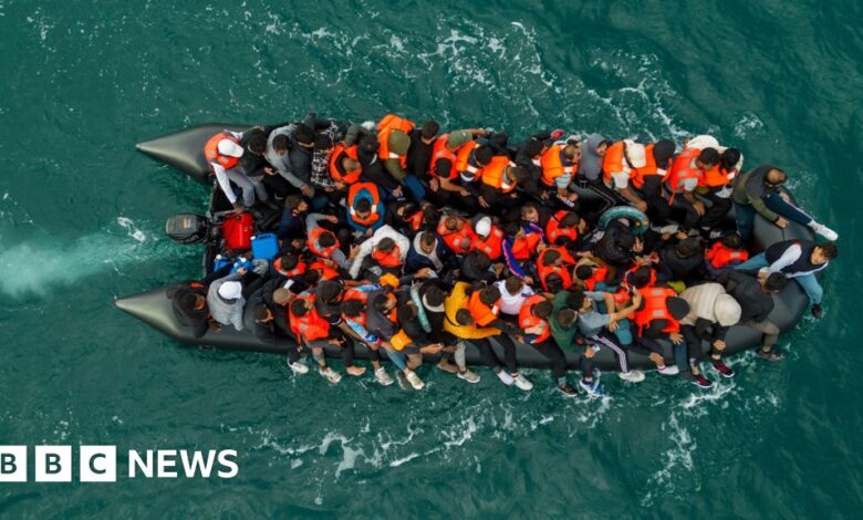 Home Office loses bid to overturn court order blocking migrant's removal