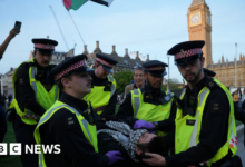 MPs push for change on Palestine Action but minister stands firm