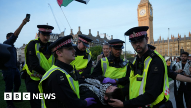 MPs push for change on Palestine Action but minister stands firm