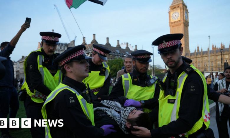 MPs push for change on Palestine Action but minister stands firm