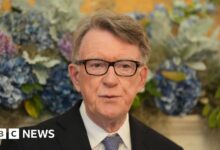 Mandelson red flags were missed or ignored, senior Labour MP says