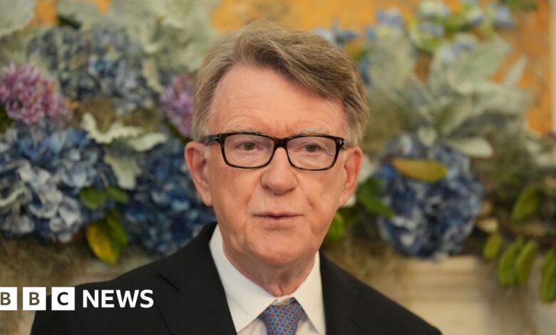 Mandelson red flags were missed or ignored, senior Labour MP says