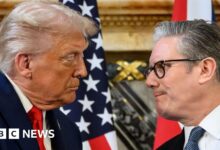 Minister rejects Trump's call for military to tackle illegal migration