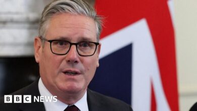 No 10 questioned Peter Mandelson on Epstein links before appointment