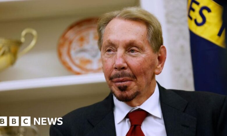 Oracle's Larry Ellison briefly surpasses Elon Musk as world's richest man