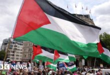 Palestine Action: Government can challenge group's appeal against ban