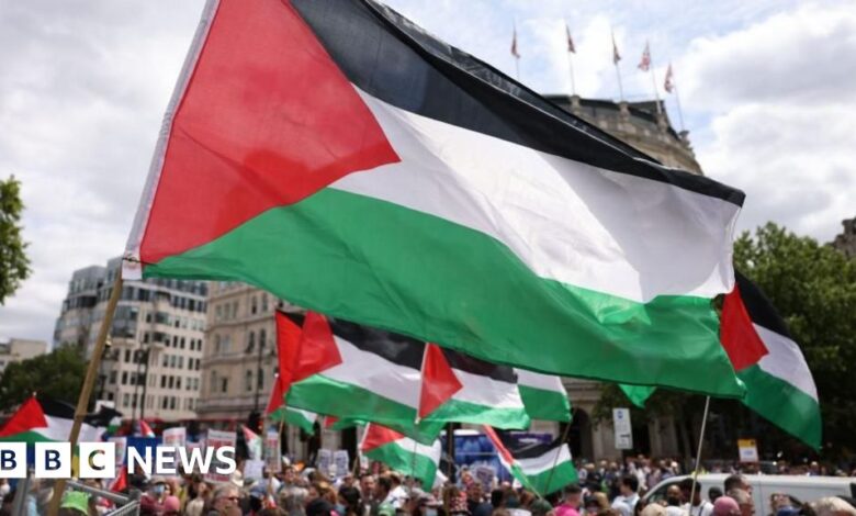 Palestine Action: Government can challenge group's appeal against ban