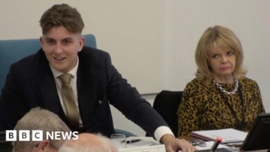 Reform UK flag policy strips Warwickshire council boss of power