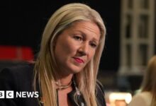 Reform's Laura Anne Jones 'broke rules with racial slur but not expenses'