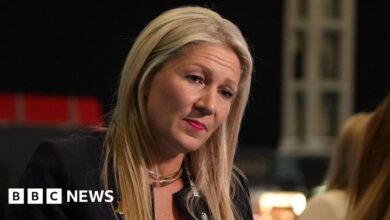 Reform's Laura Anne Jones 'broke rules with racial slur but not expenses'