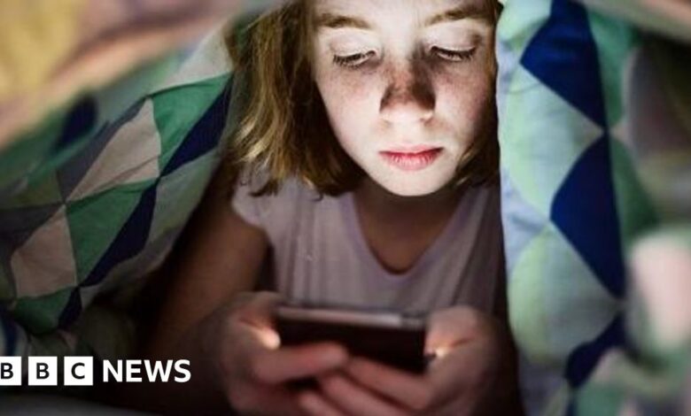 Safety of AI chatbots for children and teens faces US inquiry