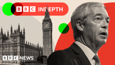 Sir John Curtice: How Reform's capture of the Brexit vote could be enough to win an election