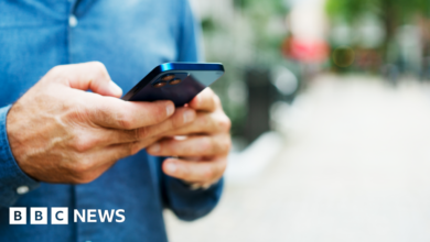 Starmer considering new digital ID scheme to tackle illegal working