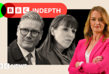 Starmer resets after Rayner row, but Labour turmoil is a gift for Reform