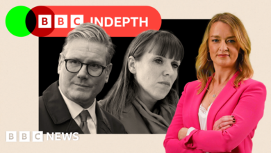 Starmer resets after Rayner row, but Labour turmoil is a gift for Reform