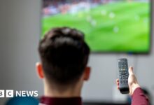 Streameast: Largest illegal live sports streaming site shut down