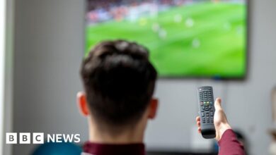 Streameast: Largest illegal live sports streaming site shut down