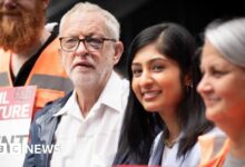 Sultana looks to 'reconcile' with Corbyn after party row