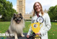 Tamworth MP's dog crowned Westminster Dog of the Year