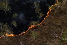 Tech Now - Fighting Wildfires: Can Tech Help?
