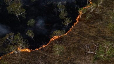 Tech Now - Fighting Wildfires: Can Tech Help?