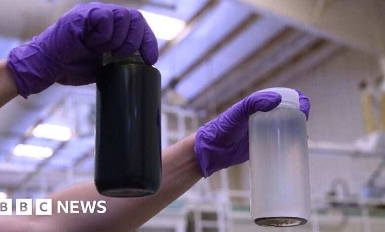 The firms looking to destroy harmful 'forever chemicals'