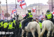 Tommy Robinson tapping into disquiet in country, says minister