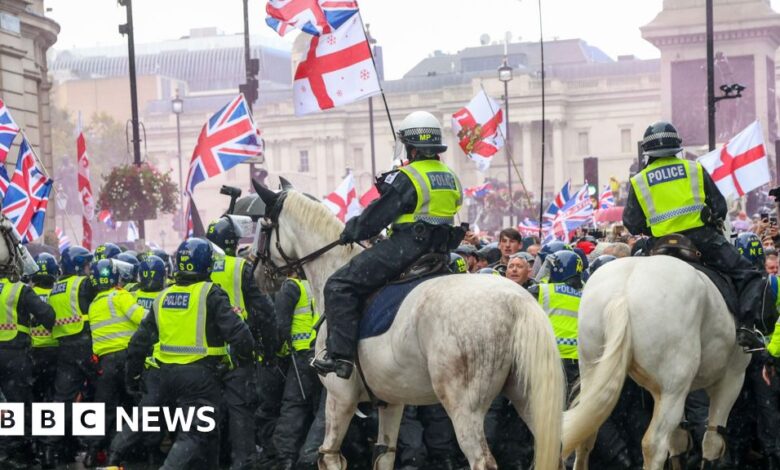 Tommy Robinson tapping into disquiet in country, says minister