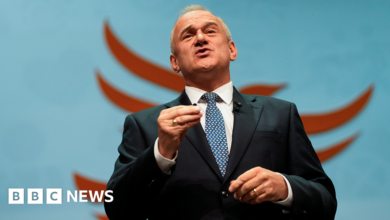 We'll stop Farage turning UK into Trump's America, says Ed Davey