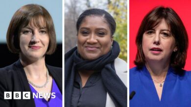 Who could replace Angela Rayner as Labour deputy leader?