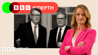 With Donald Trump's UK state visit days away, Mandelson blame game begins